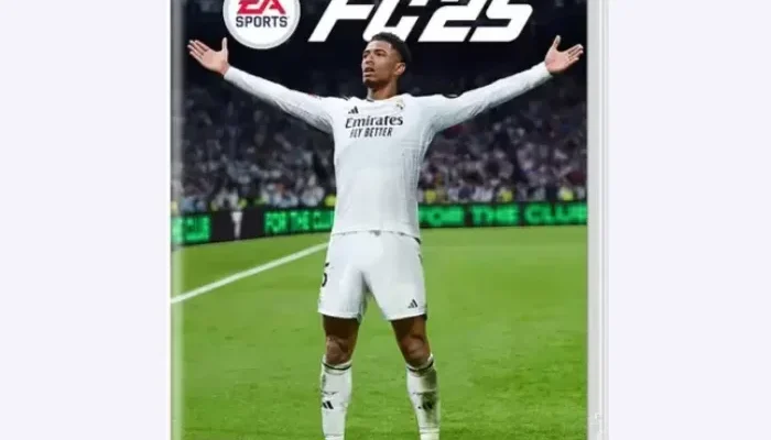 EA SPORTS FC 25 N SWITCH
