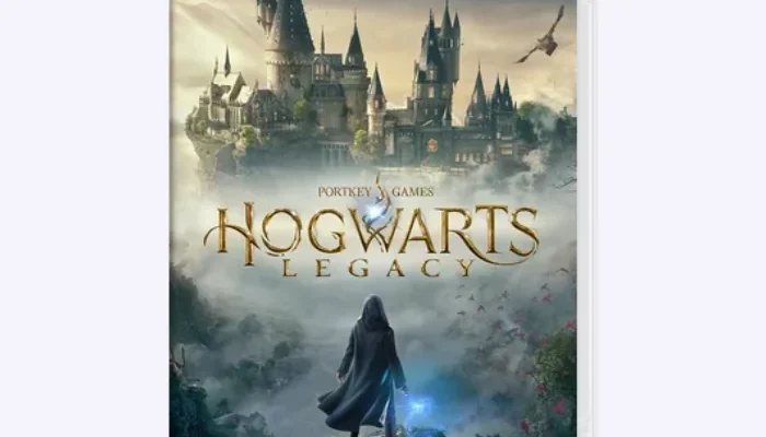 Hogwarts Legacy N Switch