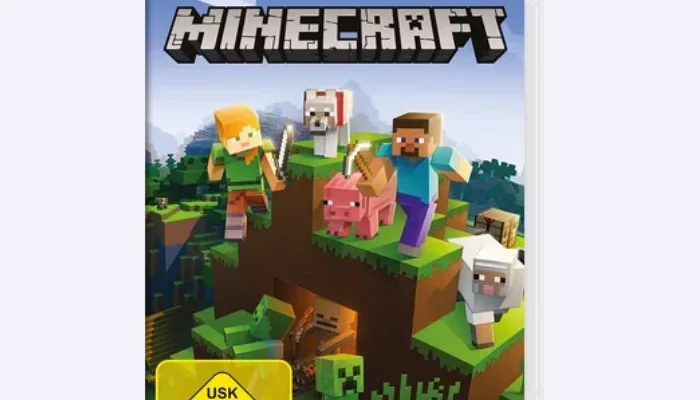 Minecraft Nintendo Switch
