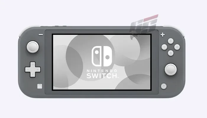 Nintendo Switch Lite  Gray