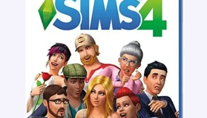 The Sims 4  PlayStation 4
